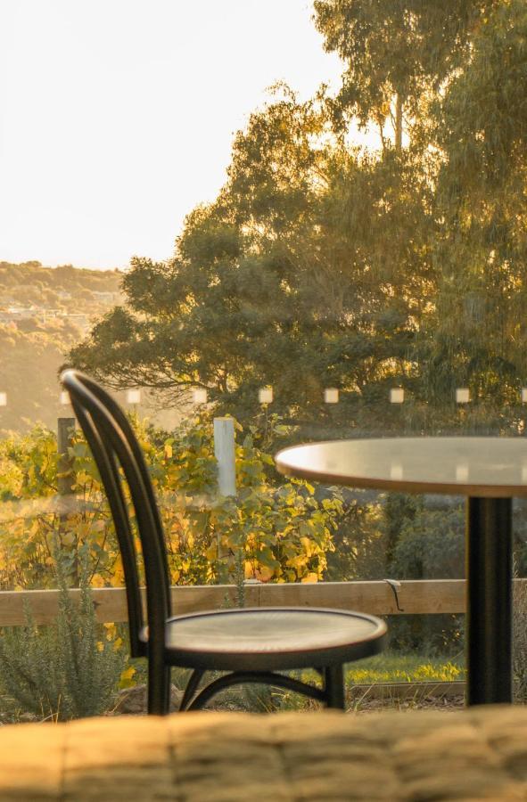 Hotel Tussock Hill Vineyard Retreats à Christchurch Extérieur photo
